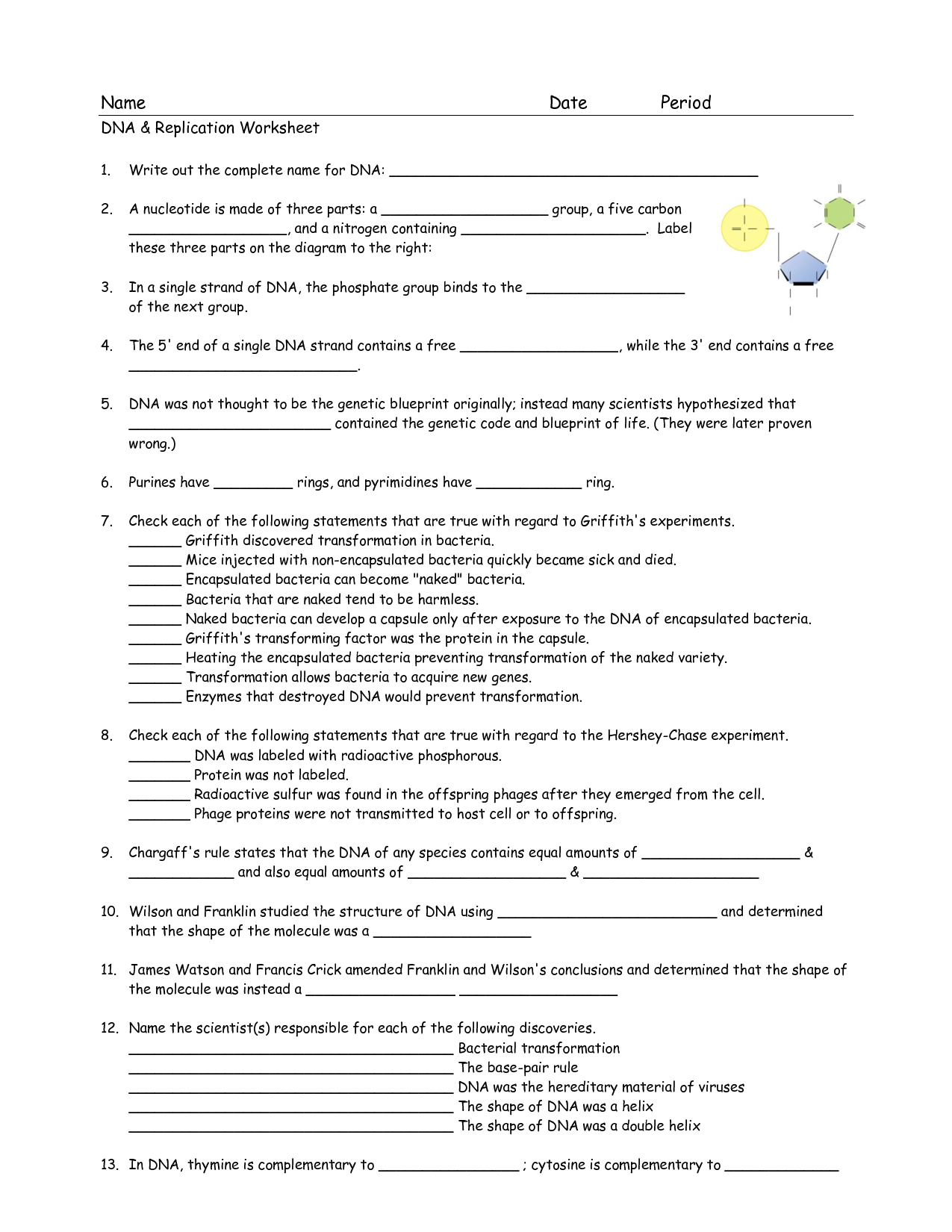 Dna Replication Worksheet Answer Key Quizlet Transcription And 