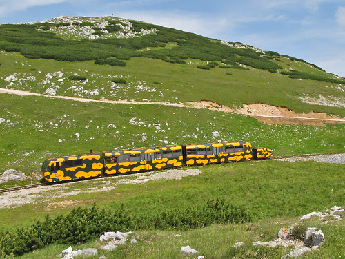 Salamanderzug
