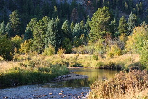 Mountain Stream