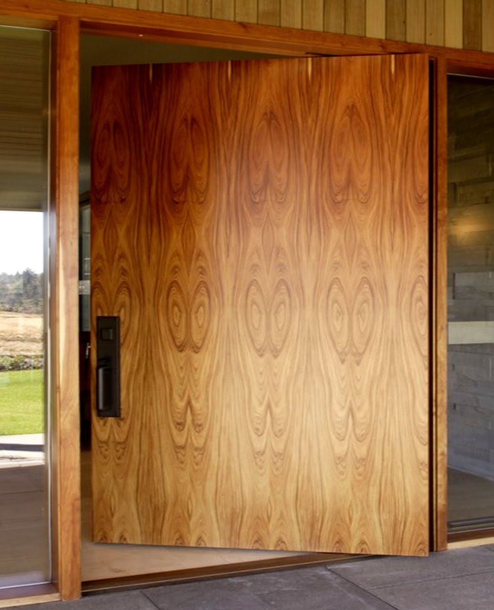 24 Shop Modern Front Door Designs Picture