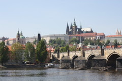 IMG_8535