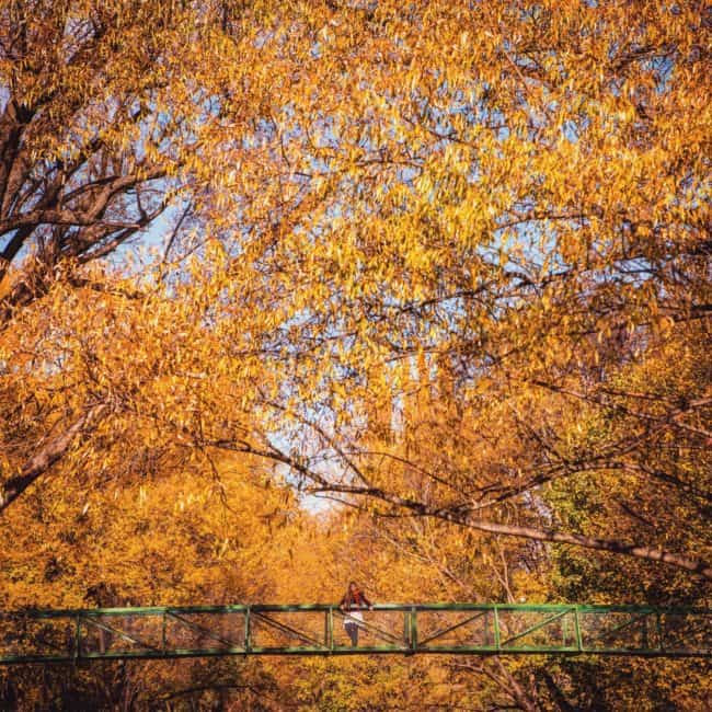 Autumn new zealand