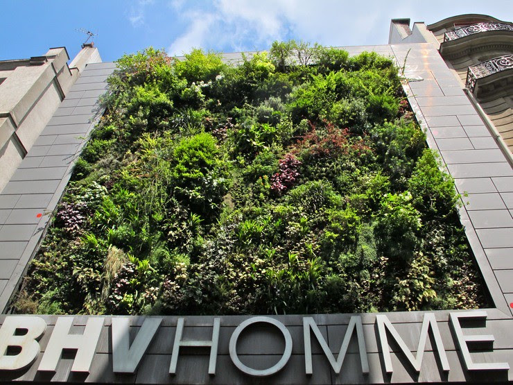 BHV vertical garden Paris