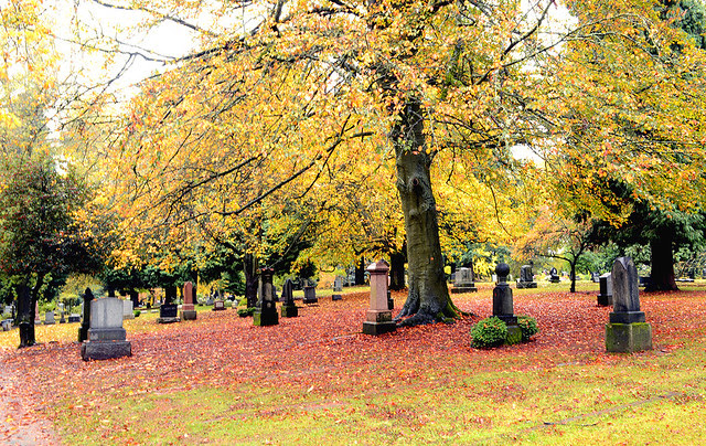 Beautiful Lone Fir Cemetery