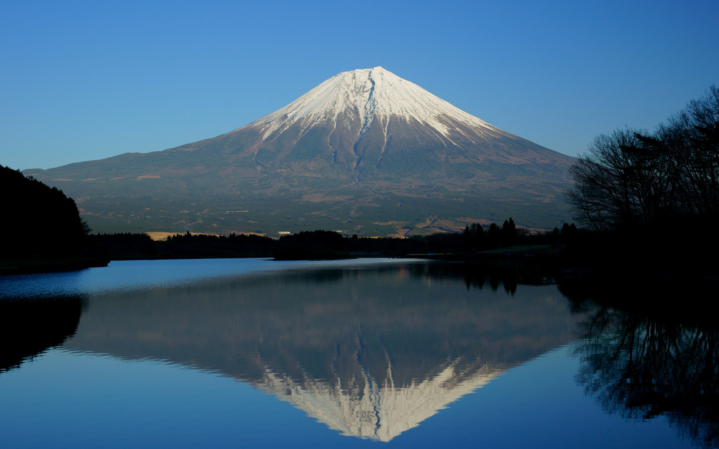 ディズニー画像ランド 最高の壁紙 富士山 画像 フリー