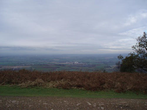 A Fine View