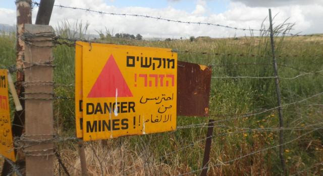 הרמה הסורית. טבע פראי והמון שדות מוקשים