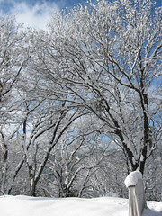 snow dec 09
