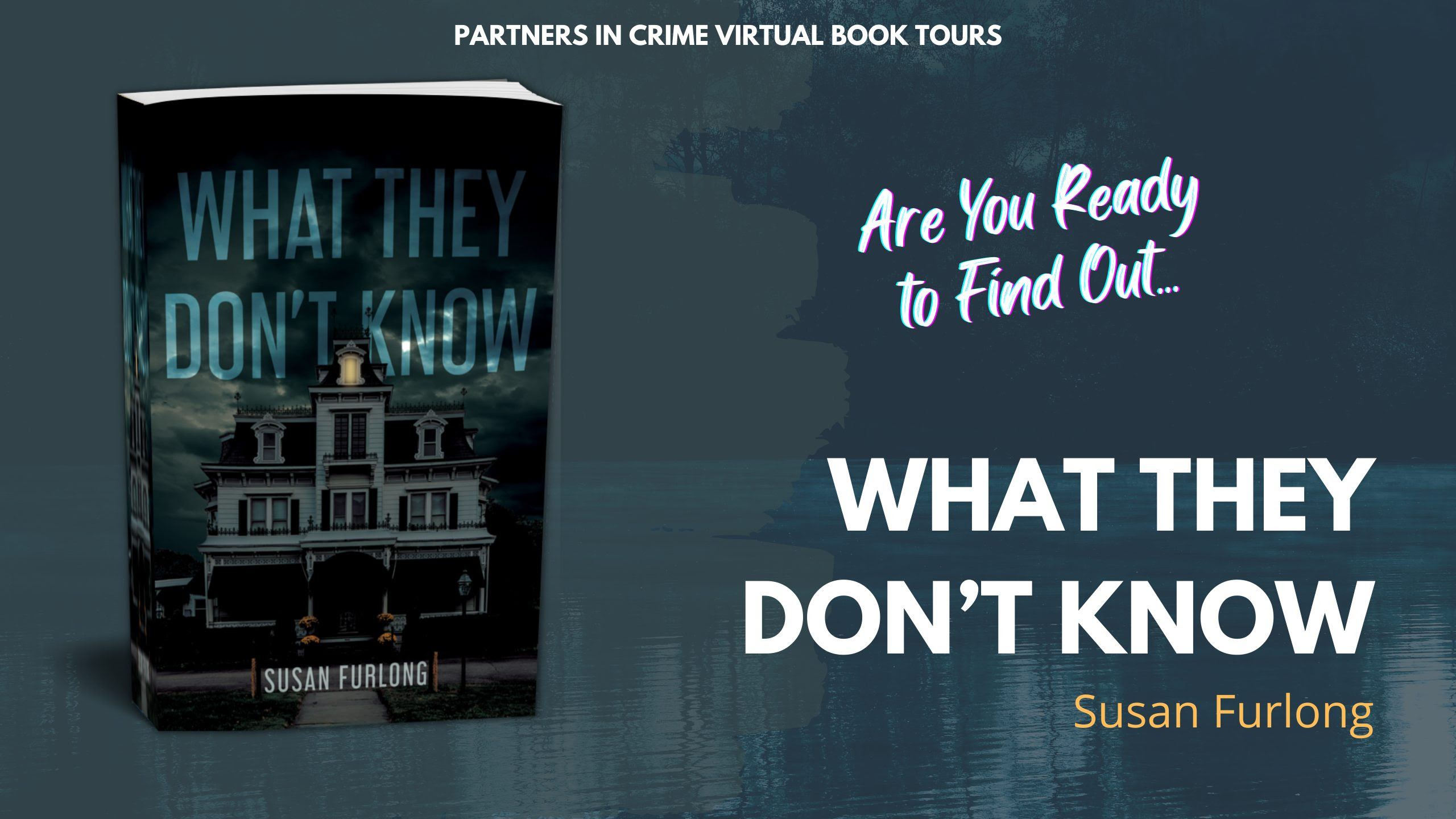 What They Don't Know by Susan Furlong Banner