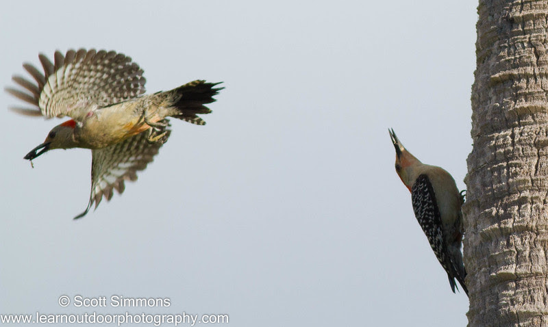 Photo & Video Sharing by SmugMug Photo & Video Sharing by SmugMug