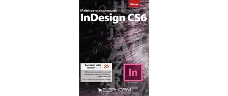 telecharger logiciel gratuit Télécharger Maîtriser INDESIGN CS6 – Les