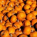 Citrus Heights Pumpkin Farm