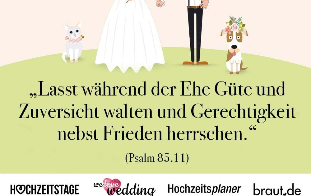 39+ Sprueche fuer schwule hochzeit ideas