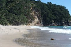 Hahei beach