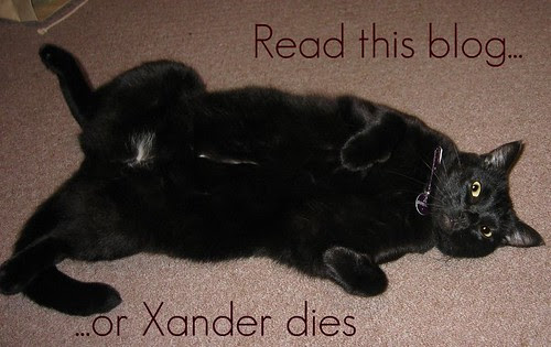 Xander, blog threat