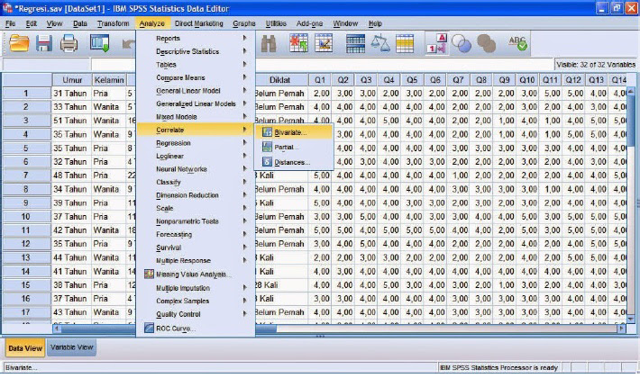 Download Contoh Skripsi Yang Menggunakan Data Spss Images