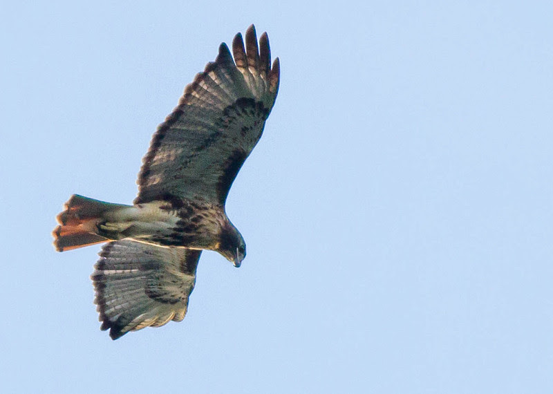 Photo & Video Sharing by SmugMug Photo & Video Sharing by SmugMug