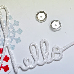 Silvery sequins close