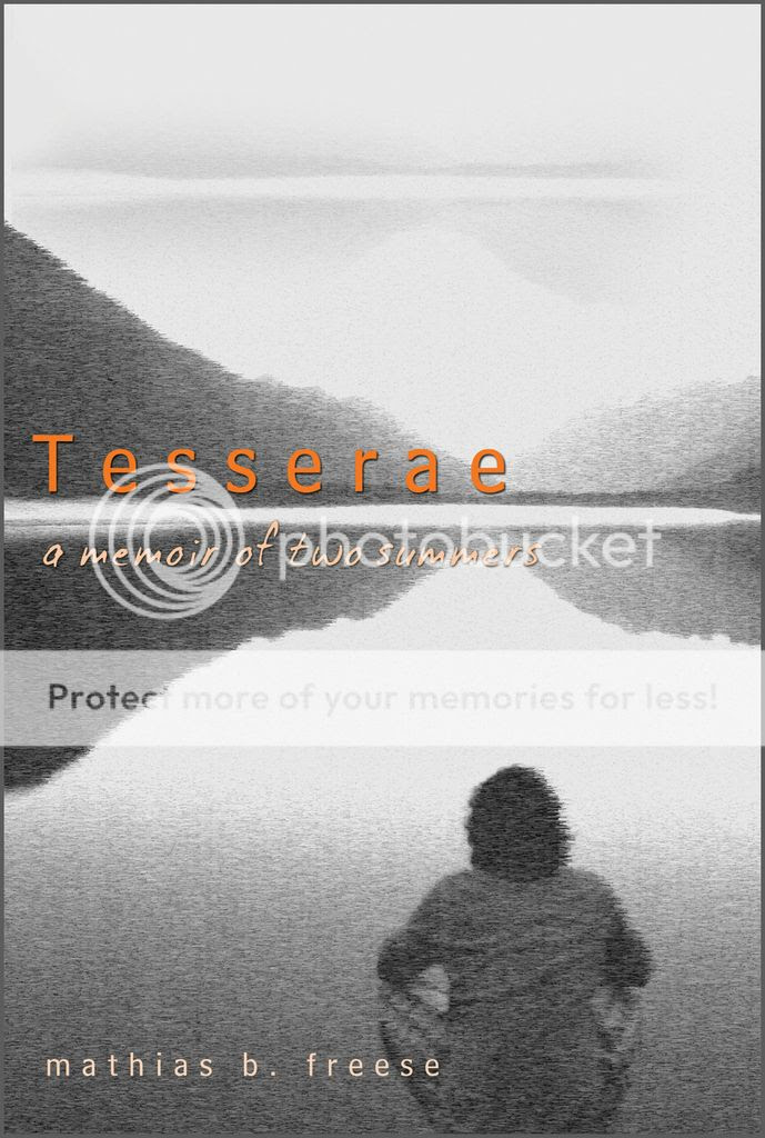 Tesserae book cover photo Tesserae front cover large edit_zpsxg6g14st.jpg