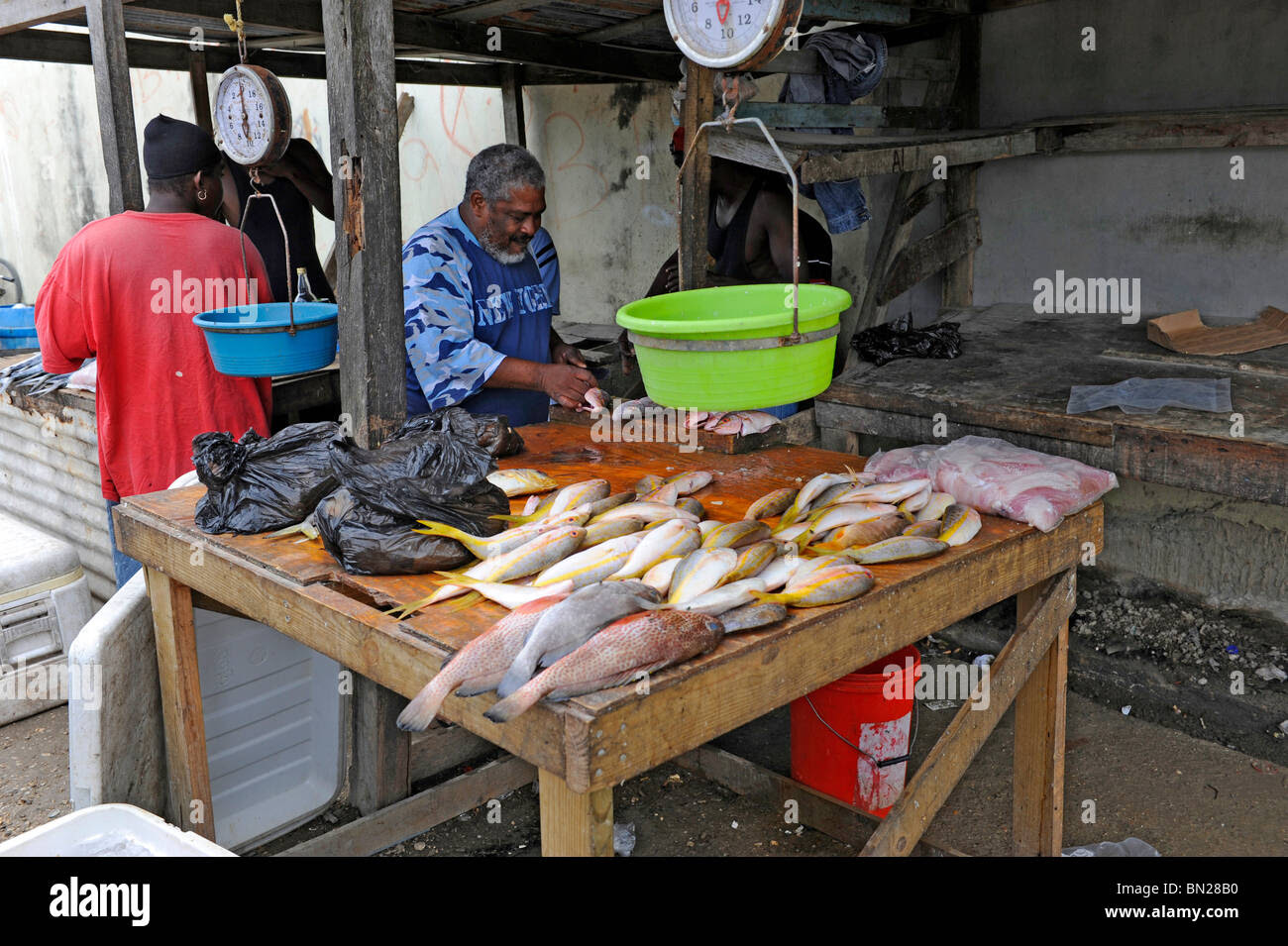 Local fish market near Caribbean Cruise ship in Belize ...