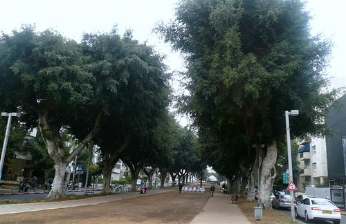 P1260954