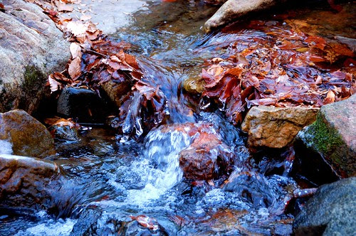 Cascade Falls