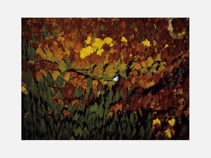 009 (700x525, 84Kb)