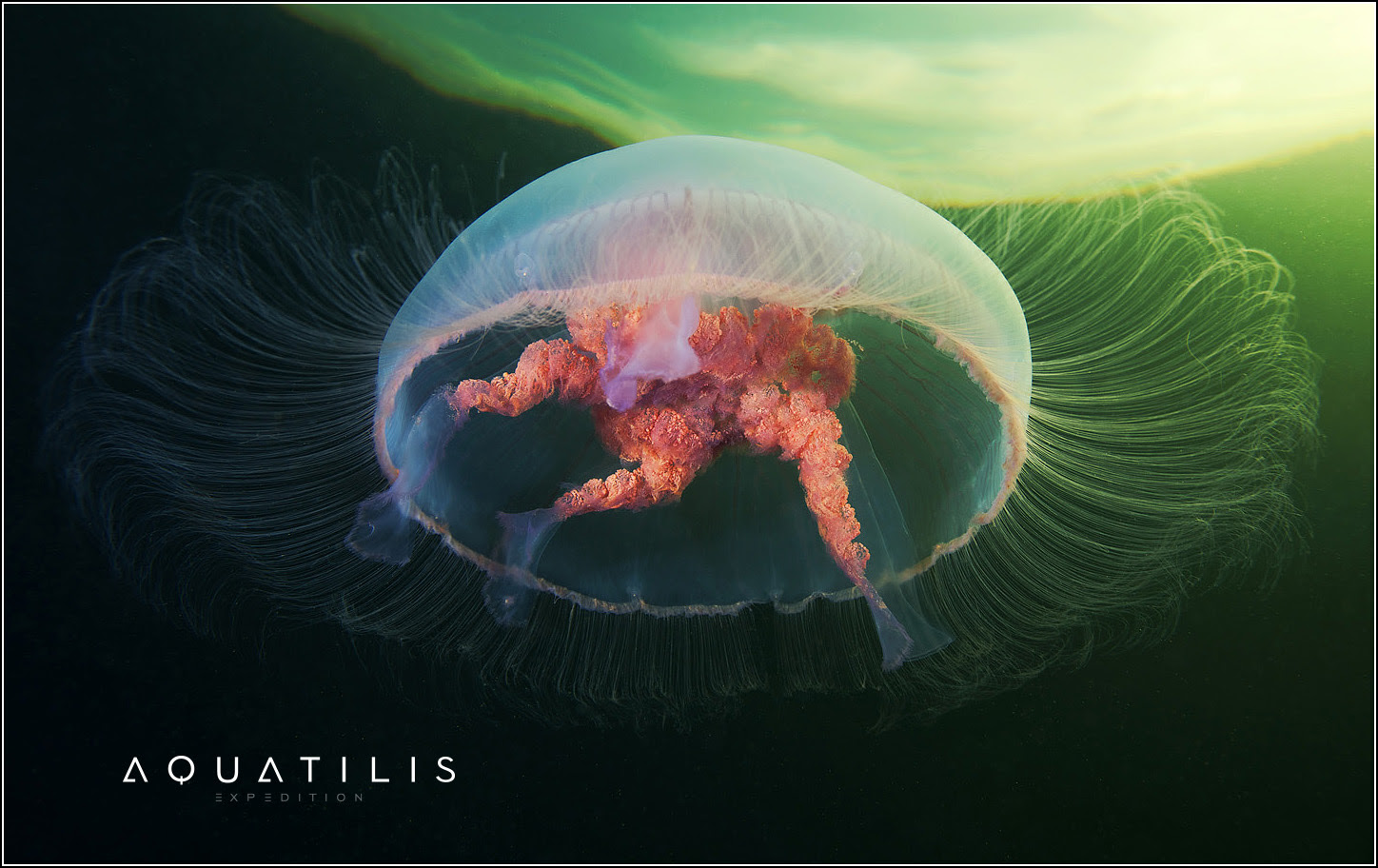 Aquatilis Expedition