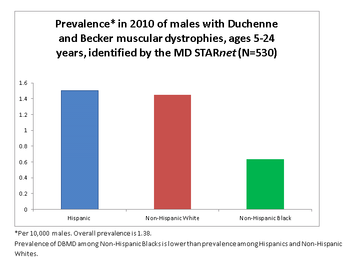 Prevalence* in 2010 of males with Duchenne and Becker muscular dystrophies, ages 5-24 years, identified by the MD STARnet (N=530). Hispanic 1.5, Non-Hispanic White 1.5, Non-Hispanic Black .63, *Per 10,000 males. Overall prevalence is 1.38.