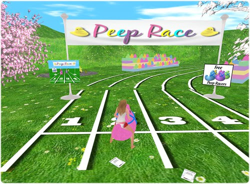 Peep Race