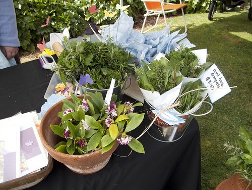 Bulmin herb bundles