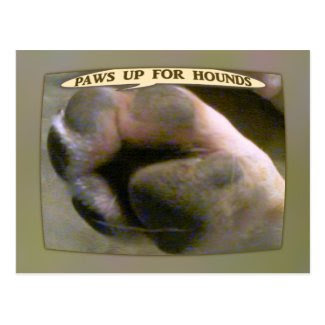 Paws Up for Hound Dogs Post Cards