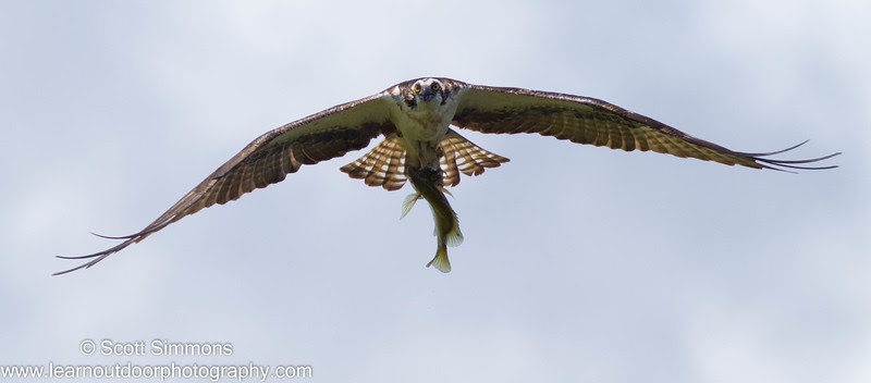 Photo & Video Sharing by SmugMug Photo & Video Sharing by SmugMug