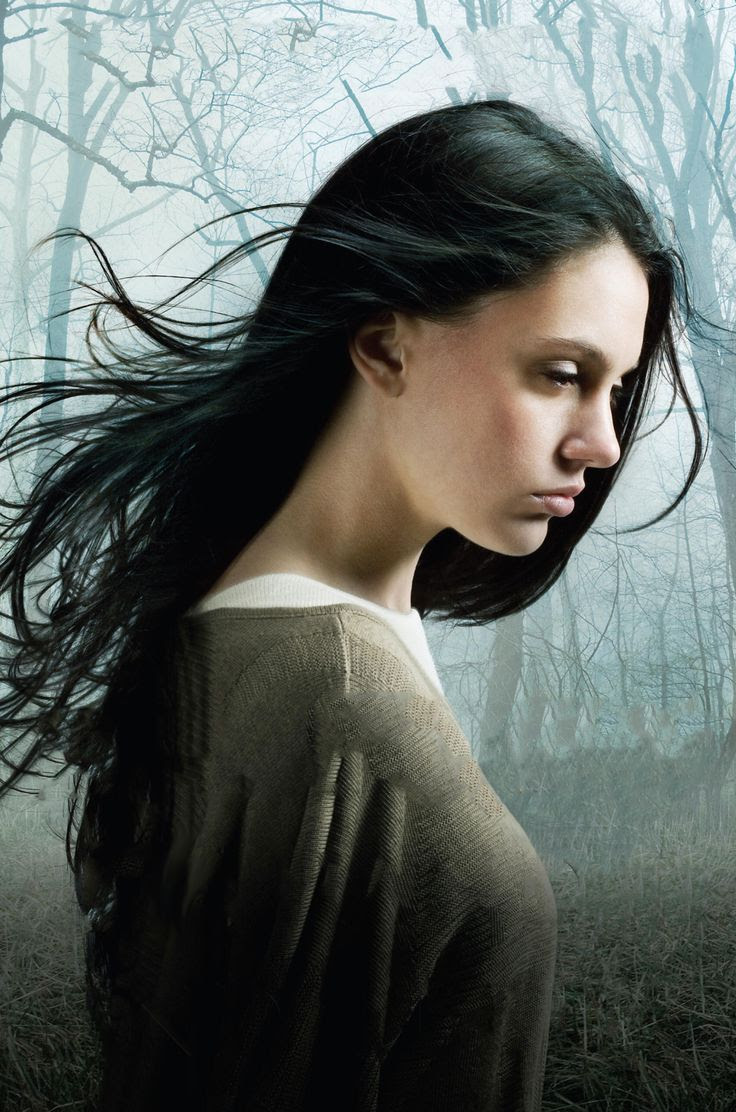 The Forest of Hands and Teeth by Carrie Ryan
