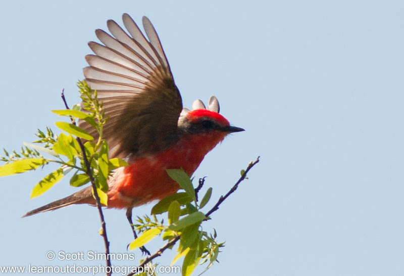Photo & Video Sharing by SmugMug Photo & Video Sharing by SmugMug