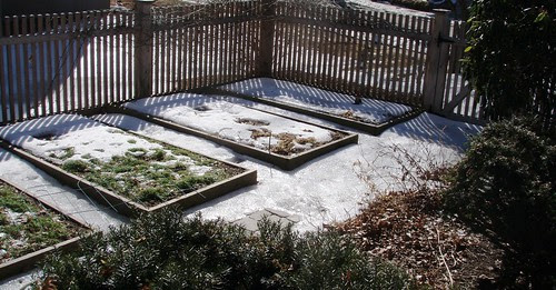 frozen garden
