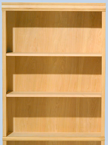 bookcase before