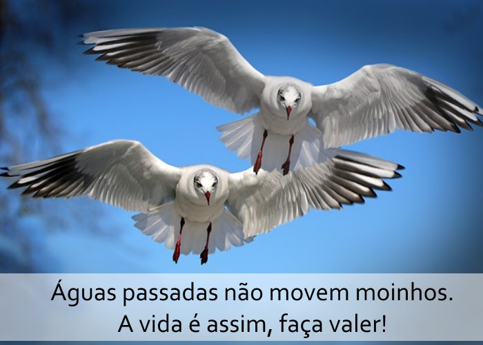 Os Segredos da Idade