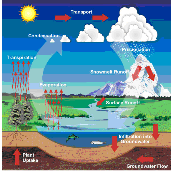 katieyunholmes-condensation-water-cycle