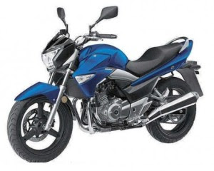 SuzukiGW250ok-460x369