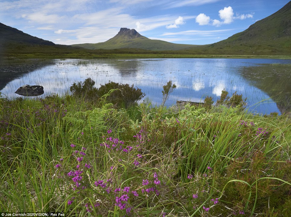 A meadow and pool near Stac Colgach in Sutherland