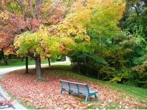 walking trails Pictures, Images and Photos