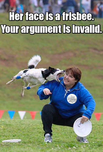 frisbee Frisbee