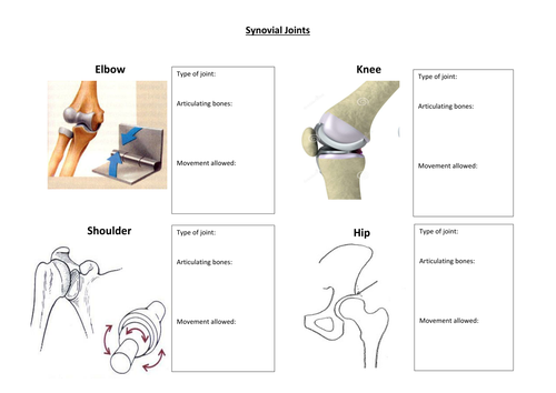 joints-and-movement-worksheet-answers-worksheet