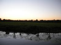 Free Image Hosting at www.ImageShack.us