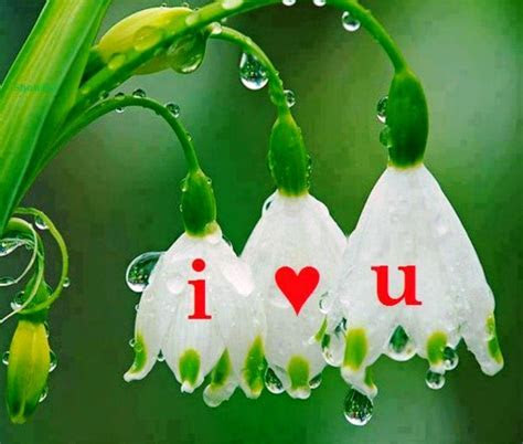 20 Beautiful Love Images For Desktop · Inspired Luv 20 Beautiful Love Images For Desktop · Inspired Luv