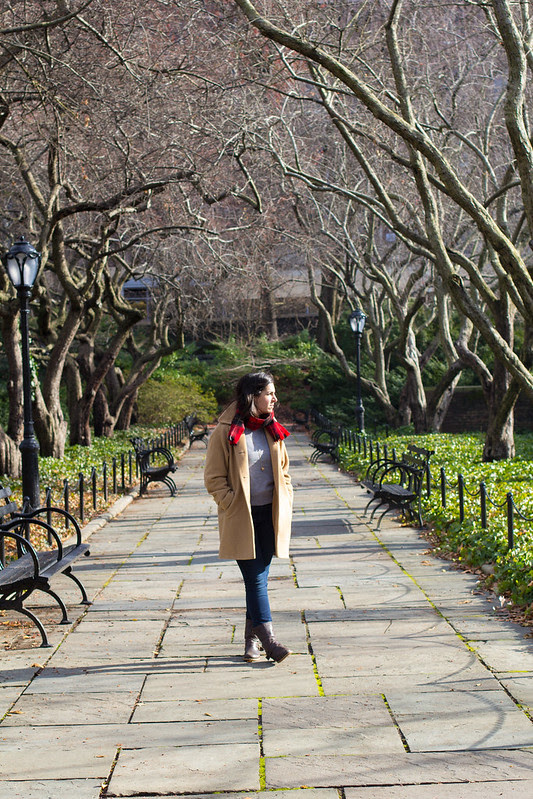 NYC_Winter_Walk_18.jpg