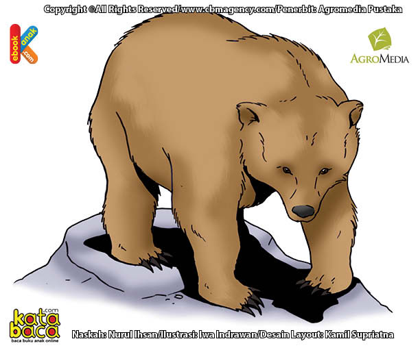 520 Gambar Mewarnai Hewan Beruang Gratis Terbaru