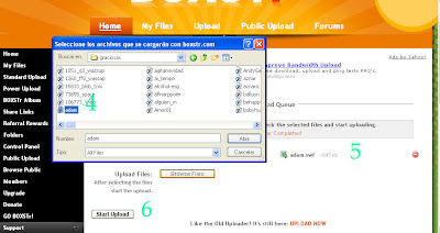 insertar flash blog