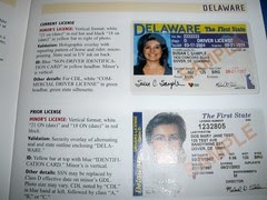 florida driver license renewal